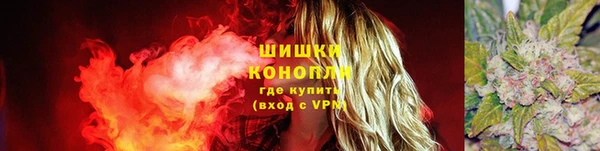 индика Балахна