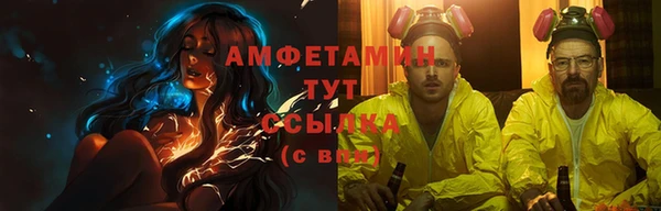 индика Балахна