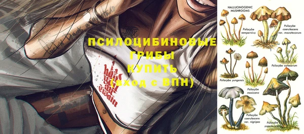 индика Балахна