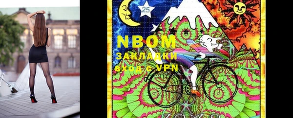 индика Балахна