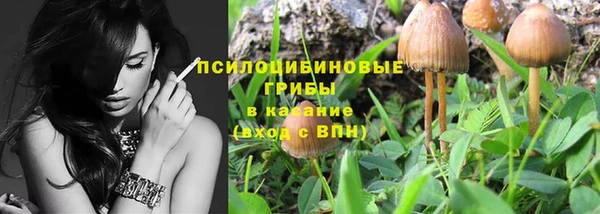 индика Балахна