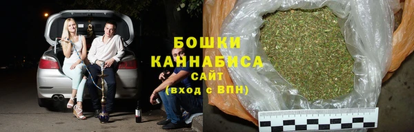 шишки Лабытнанги