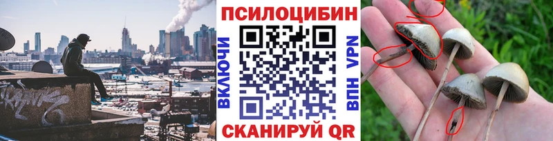 купить наркотики цена  kraken ONION  Галлюциногенные грибы прущие грибы  Кстово 