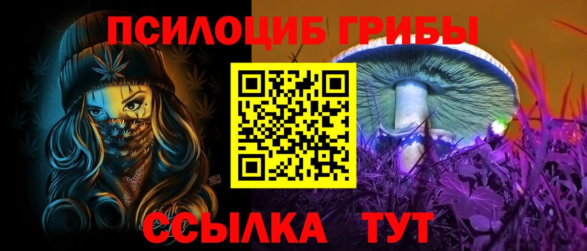Псилоцибиновые грибы мицелий Кстово