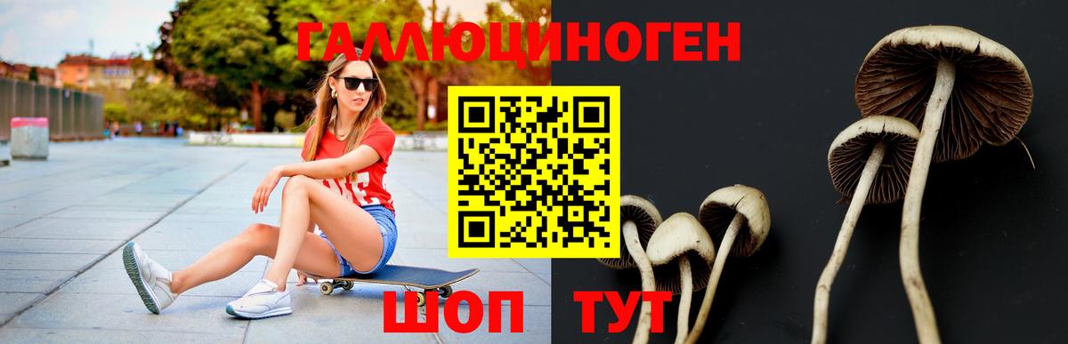 Псилоцибиновые грибы мицелий  Вход с VPN  Кстово 